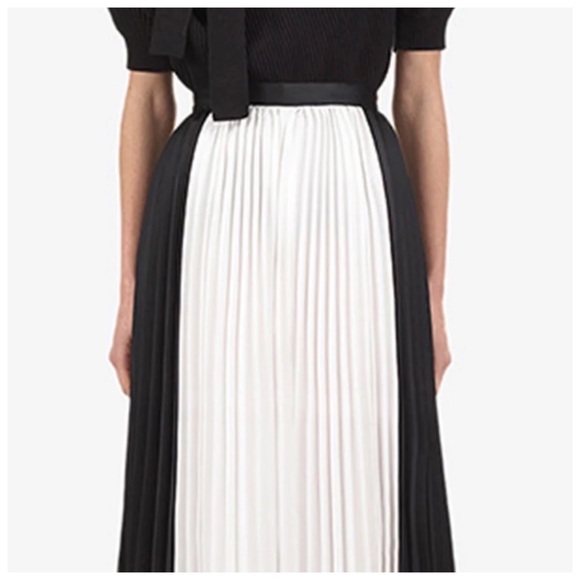 🥀 The Laportia Pleated Palazzo Pants - Picture 4 of 4